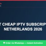 Best IPTV for best cheap IPTV subscription UAE 2026 in 2026 — Full Channel Guide
