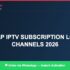 Quick way to grow: What is IPTV in 2024