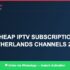 IPTV Customer Support: What to Expect from Cheap Plans (2026)