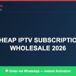 IPTV Business Plans Best Cheap Options (2026)